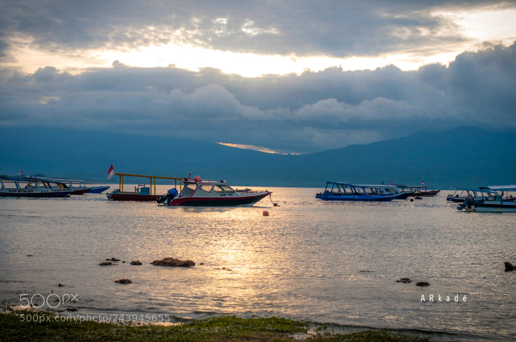 Nikon D300 sample photo. Good morning photography