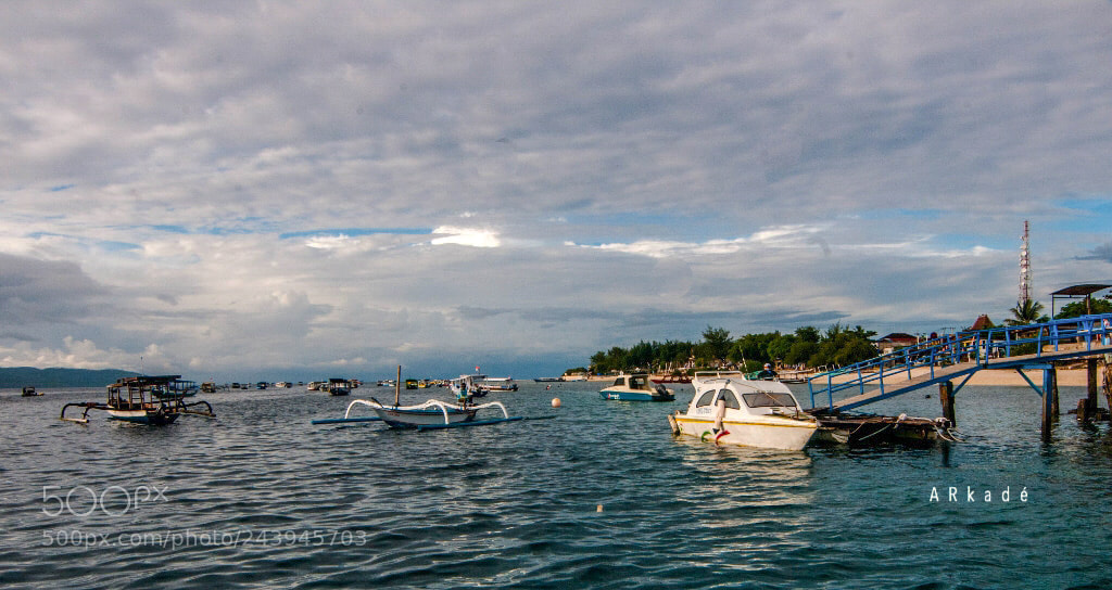 Nikon D300 sample photo. Lazy morning photography