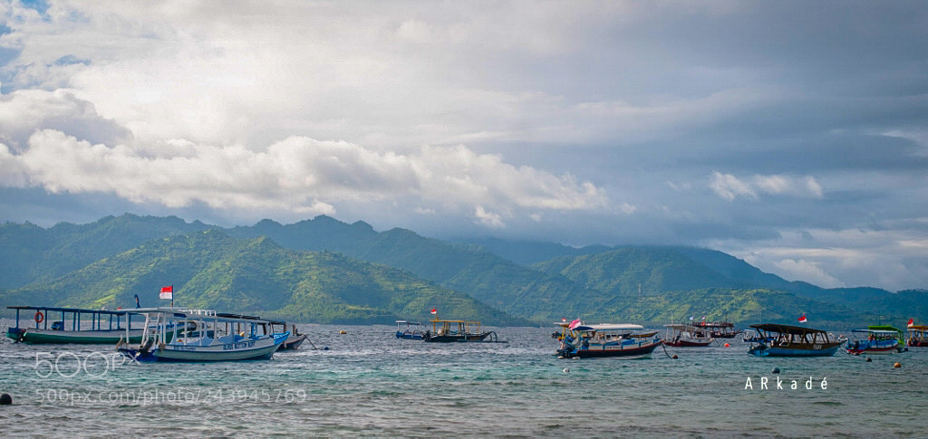 Nikon D300 sample photo. Island life photography