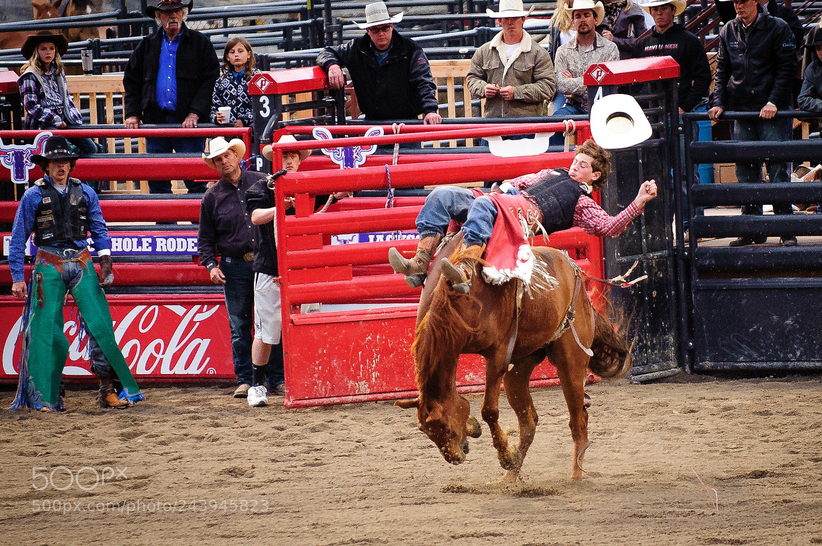 Nikon D3 sample photo. Rodeo photography