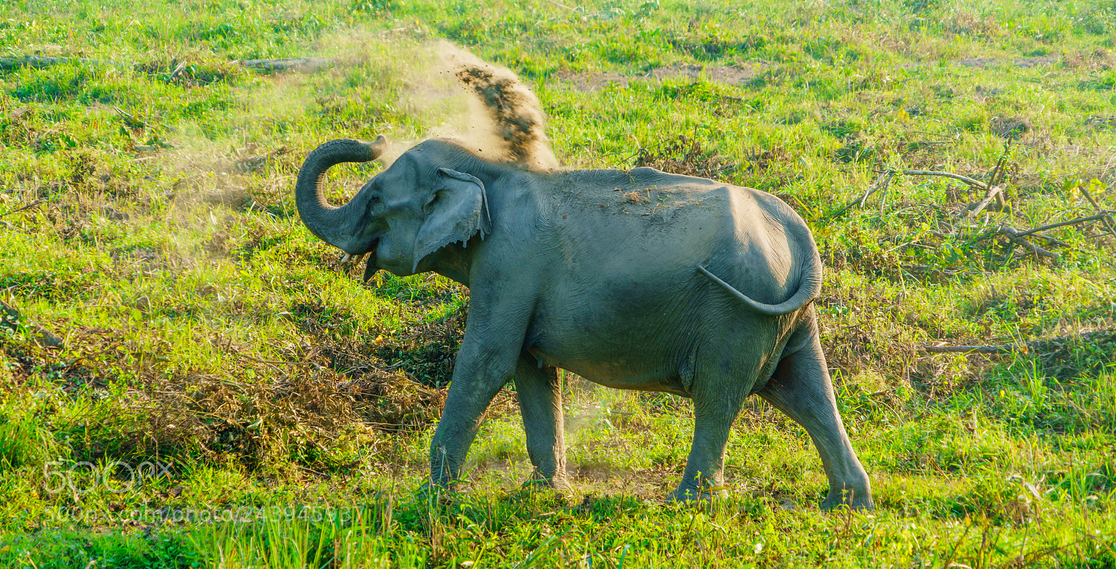 Sony a7R II sample photo. Mud bath photography
