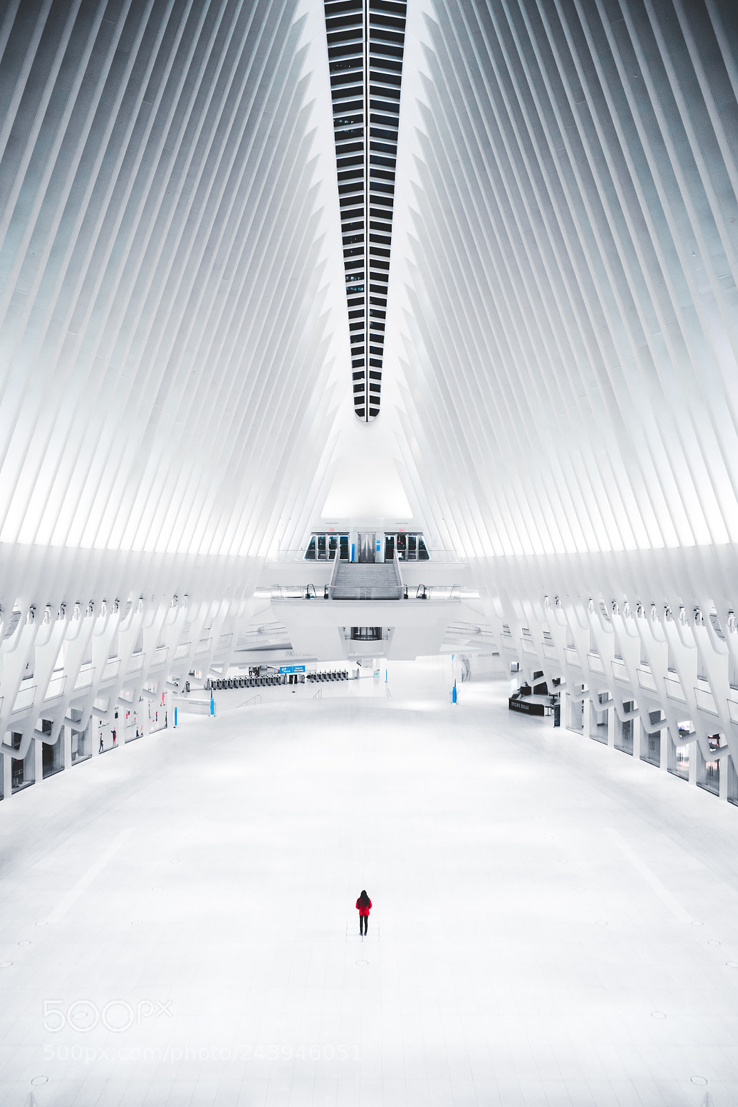 Sony a7 II sample photo. Some kind of dream photography