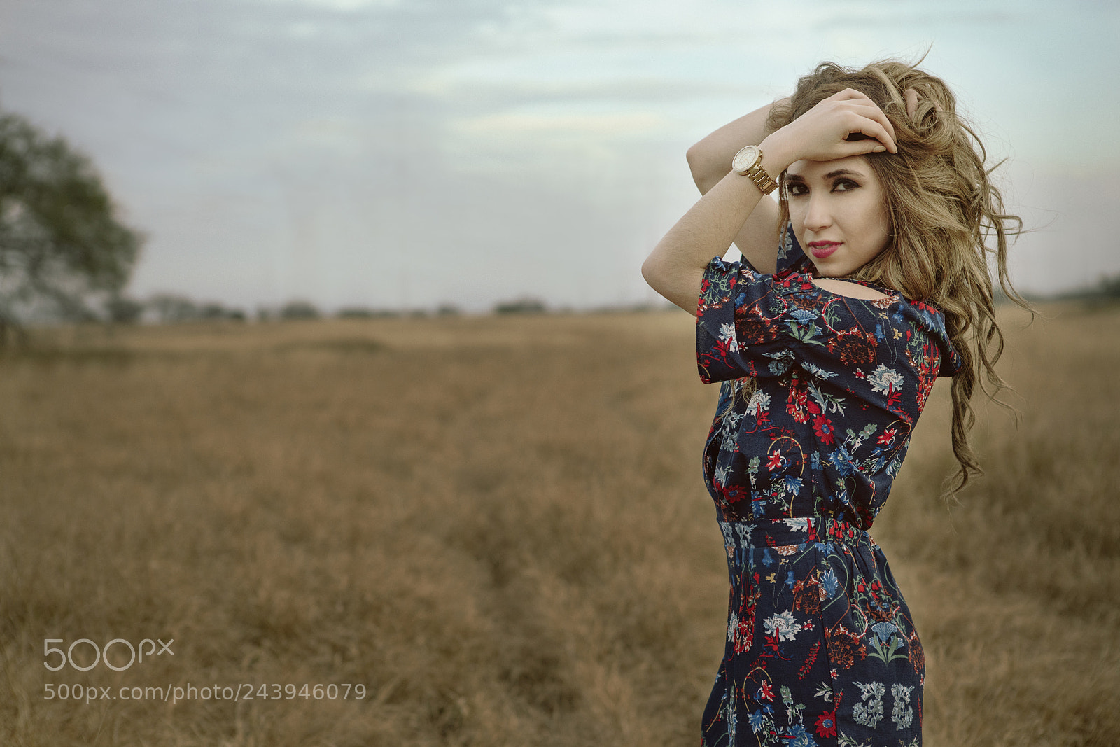 Sony a7R II sample photo. Jacky photography