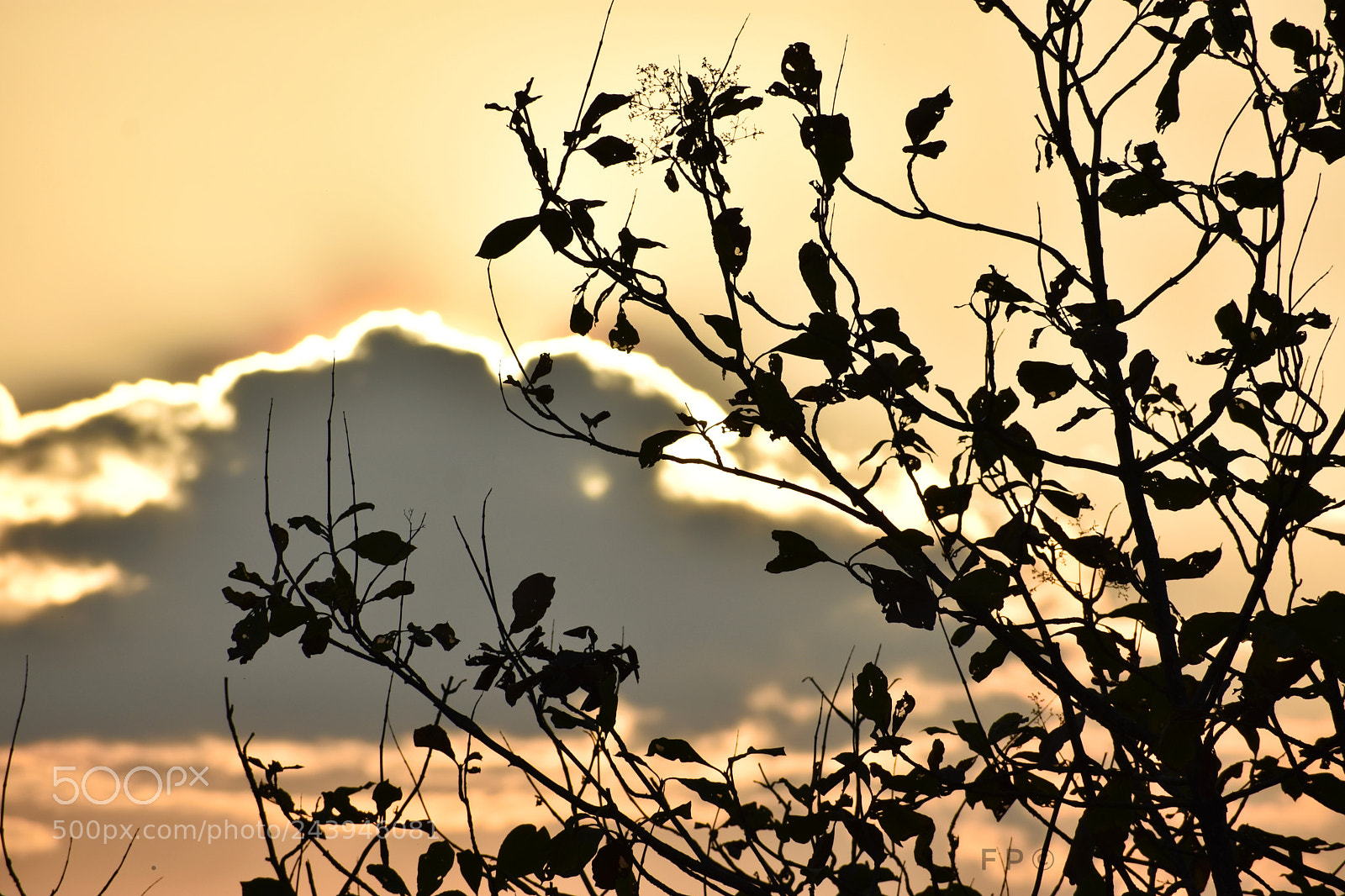 Nikon D3400 sample photo. Sunrise photography