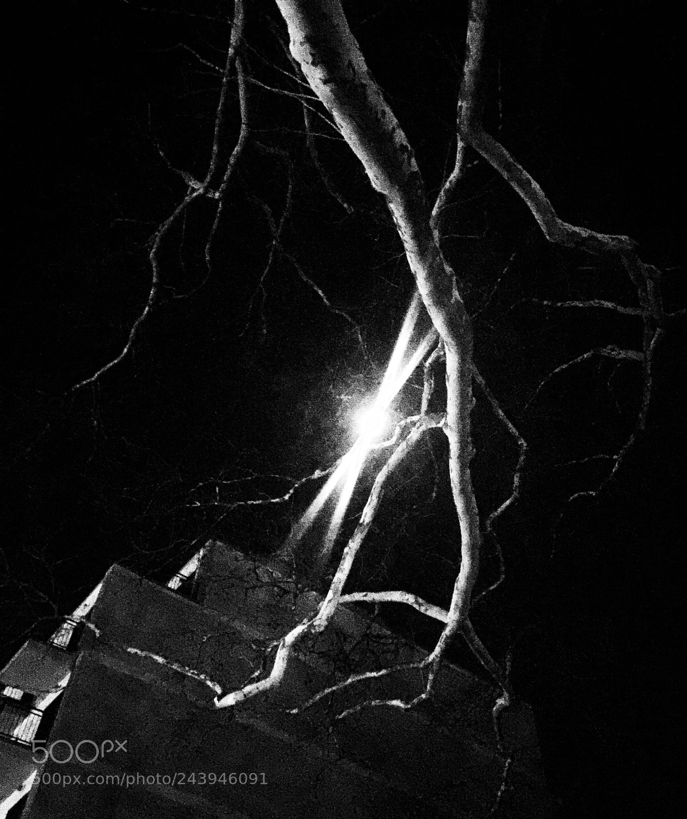 Apple iPhone 6 Plus sample photo. “moonlight abstract” photography