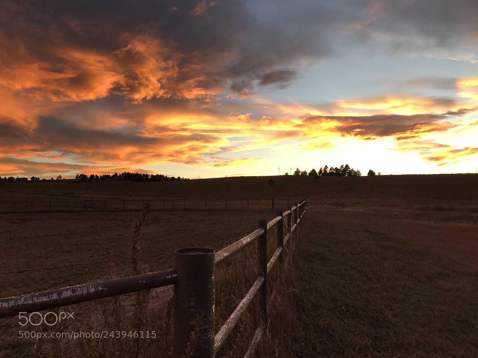 Apple iPhone 7 sample photo. October evening in elizabeth photography