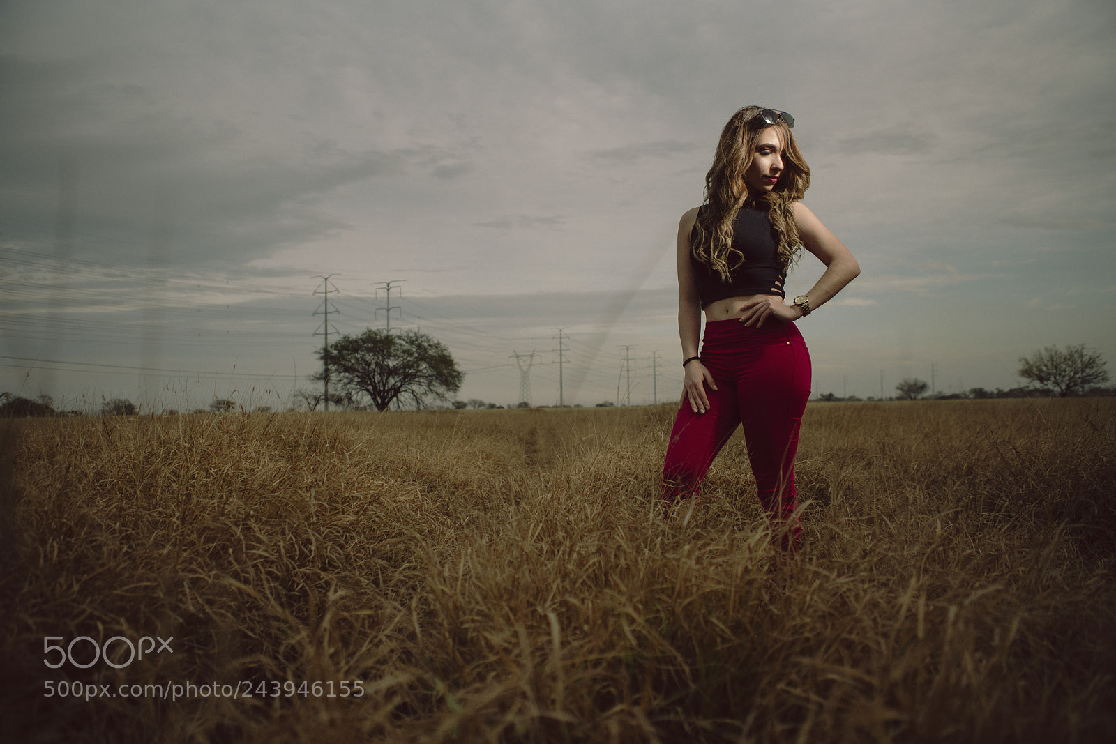 Sony a7R II sample photo. Jacky photography