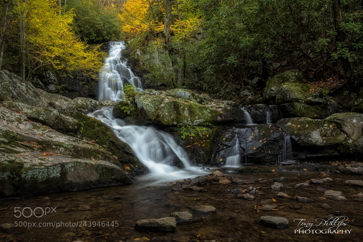 Nikon D810 sample photo. Spruce flat falls photography