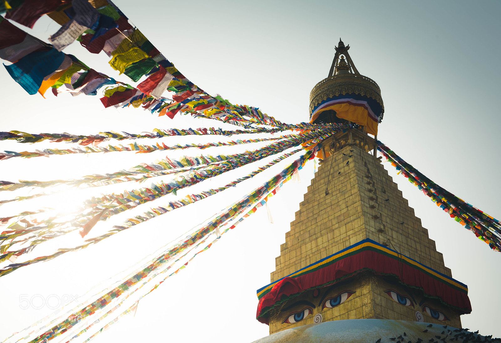 Nikon D810 sample photo. Nepal photography