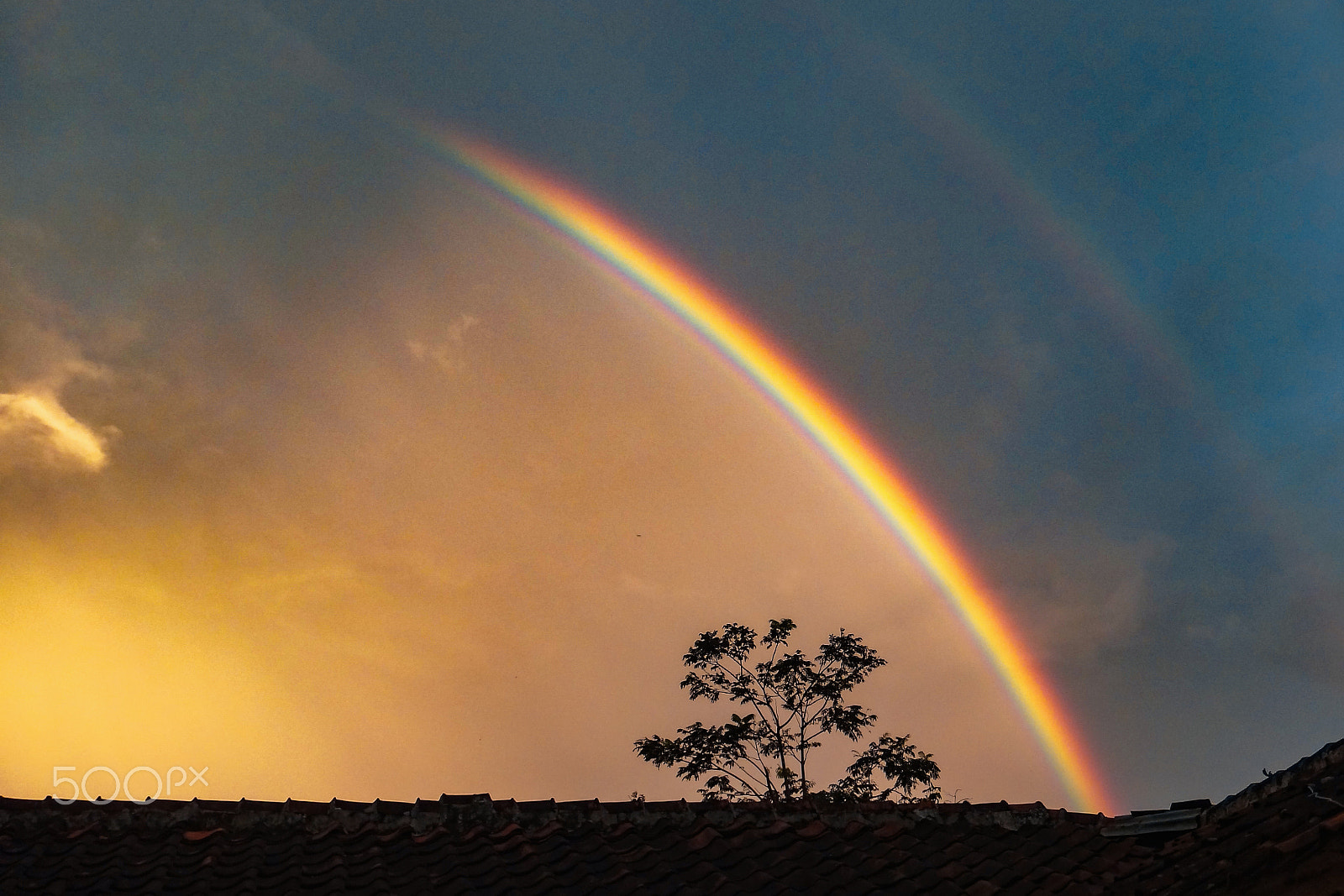 Sony DSC-TX100V sample photo. Two pairs of rainbows photography