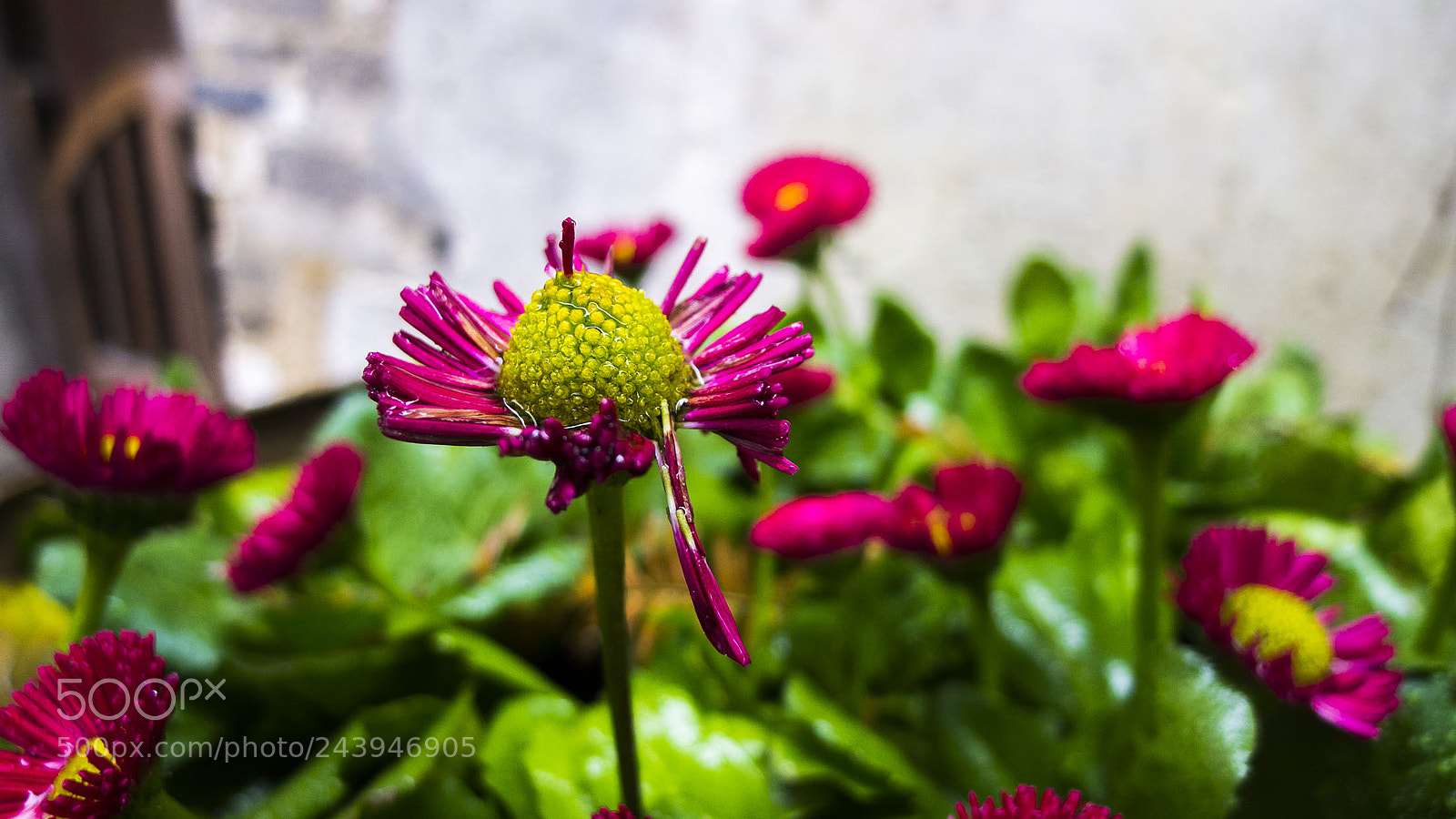 Panasonic Lumix DMC-LX5 sample photo. 小图 photography