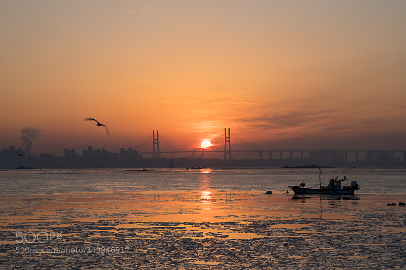 Sony a7R II sample photo. 한진항에서 photography