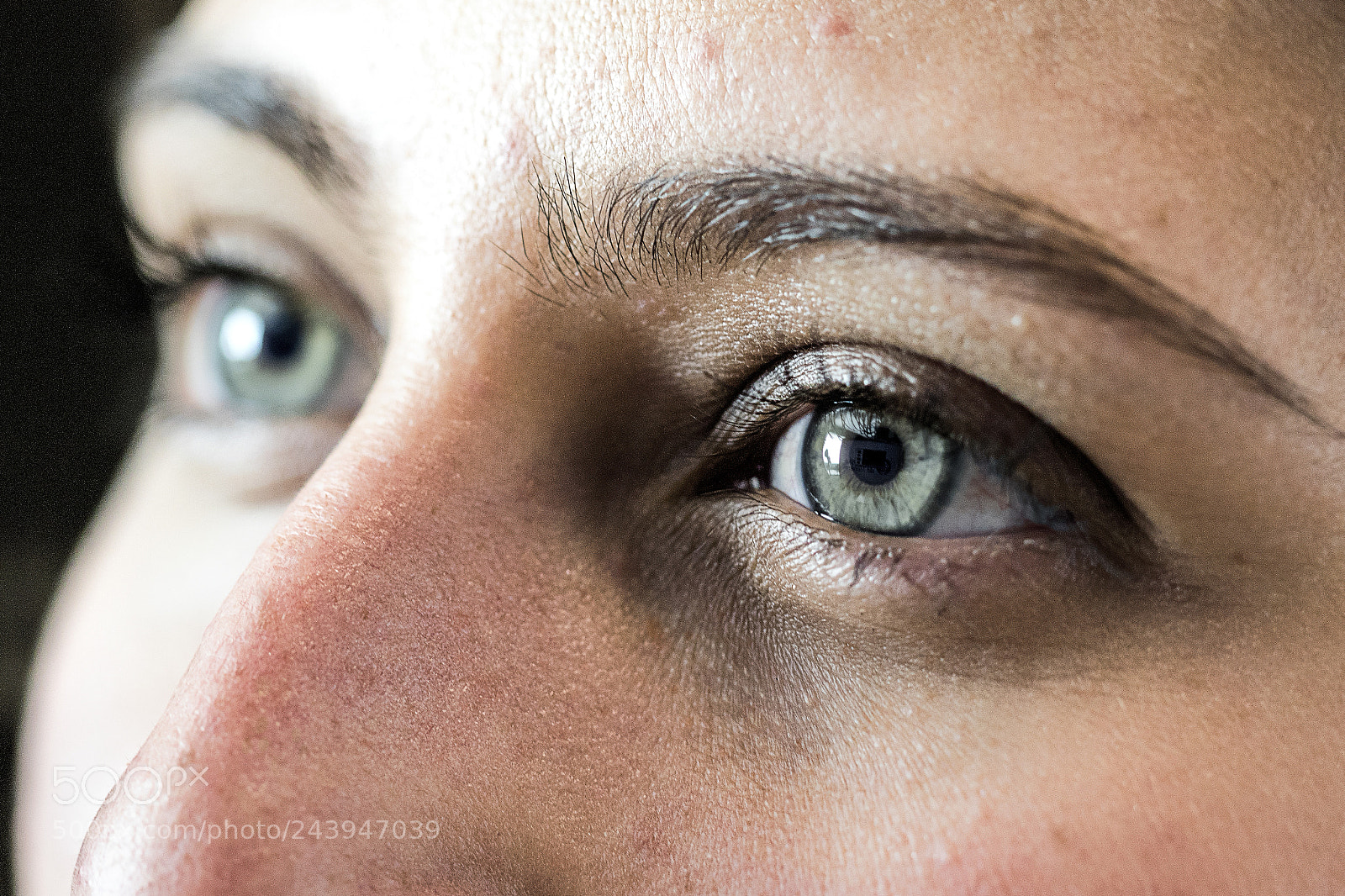 Canon EOS 7D Mark II sample photo. Monste photography
