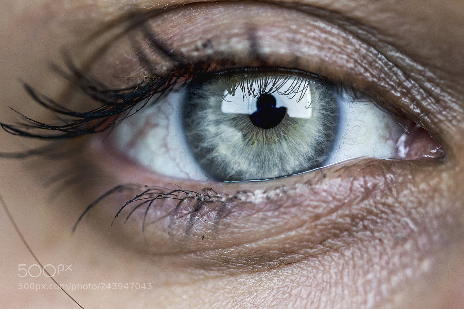 Canon EOS 7D Mark II sample photo. Monstse ojo photography