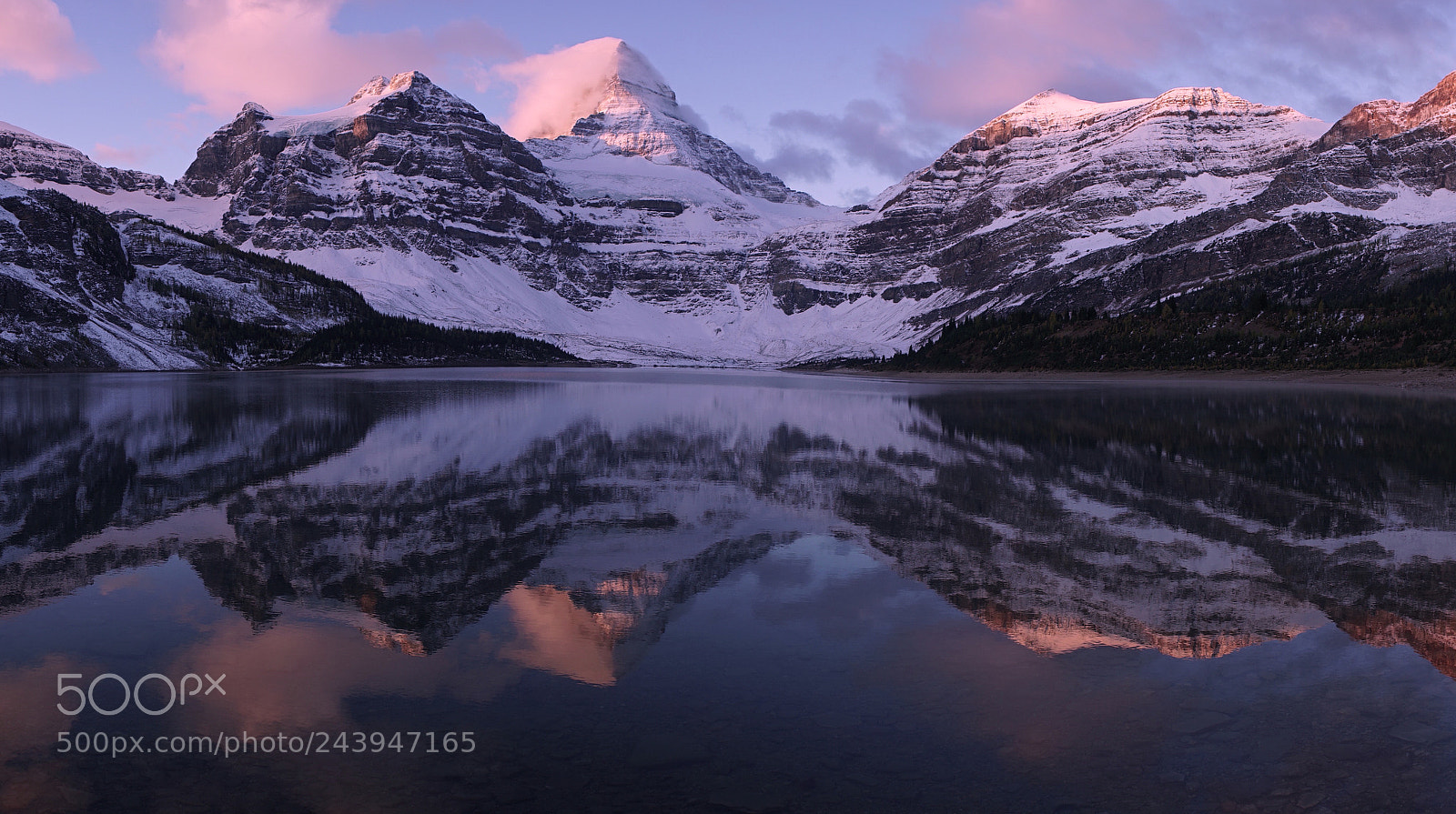Sony a7 II sample photo. Assiniboine photography