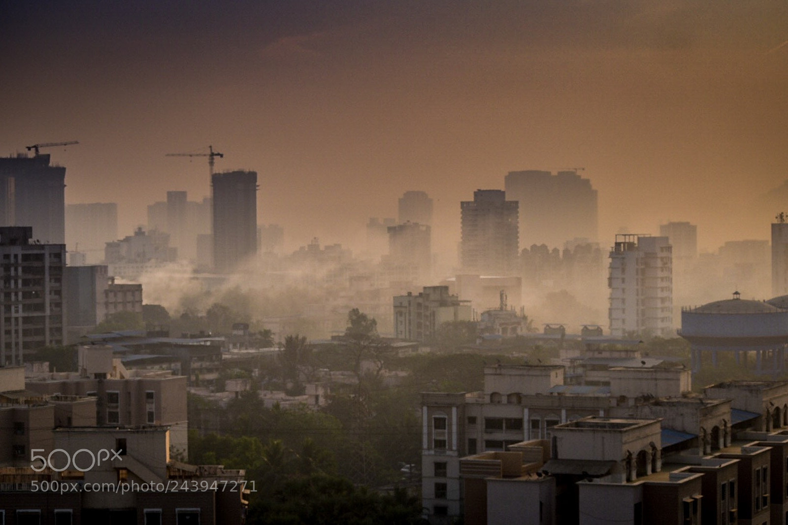 Nikon D5500 sample photo. Misty photography