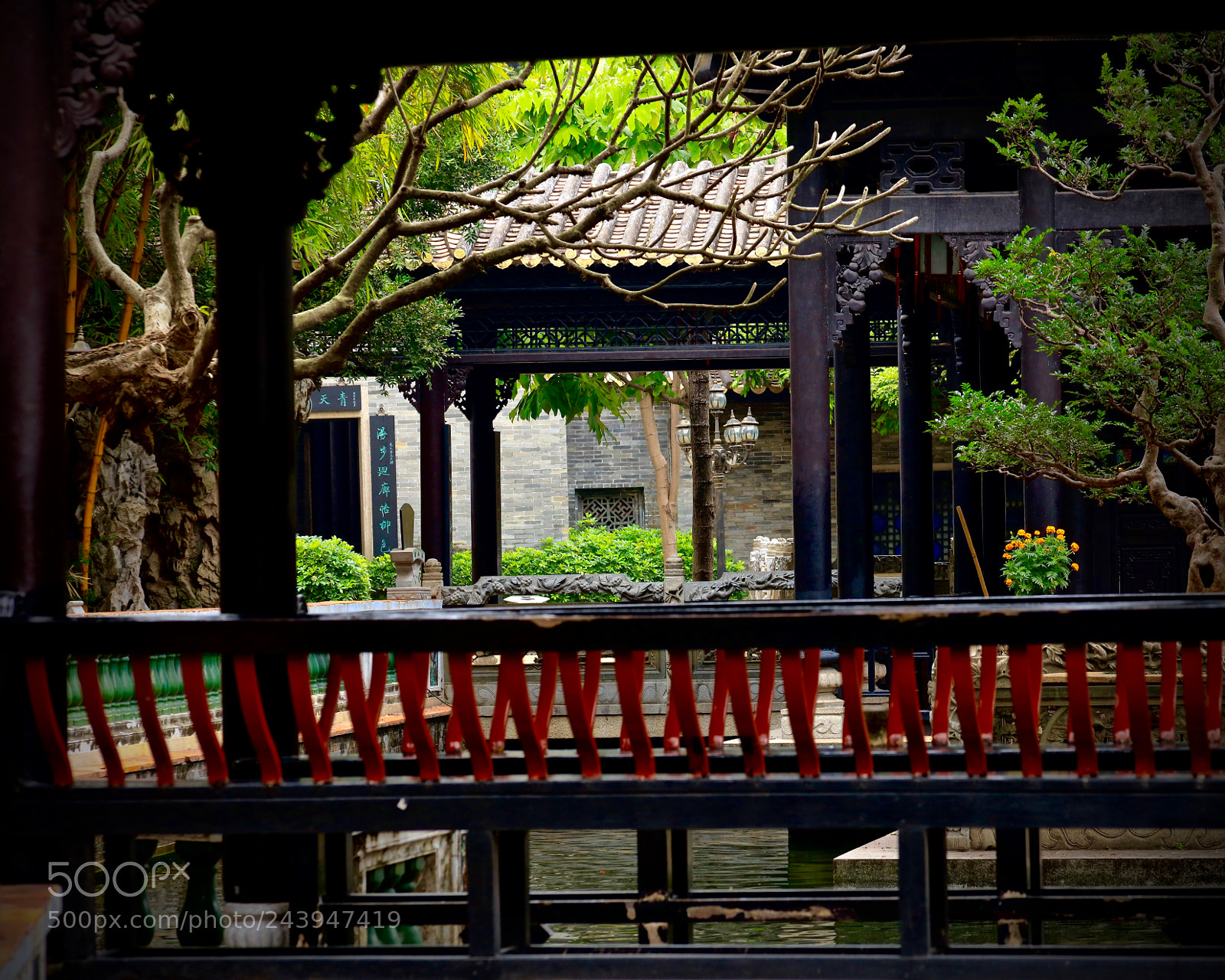 Canon EOS 5DS R sample photo. Baomo garden guangzhou.panyu photography