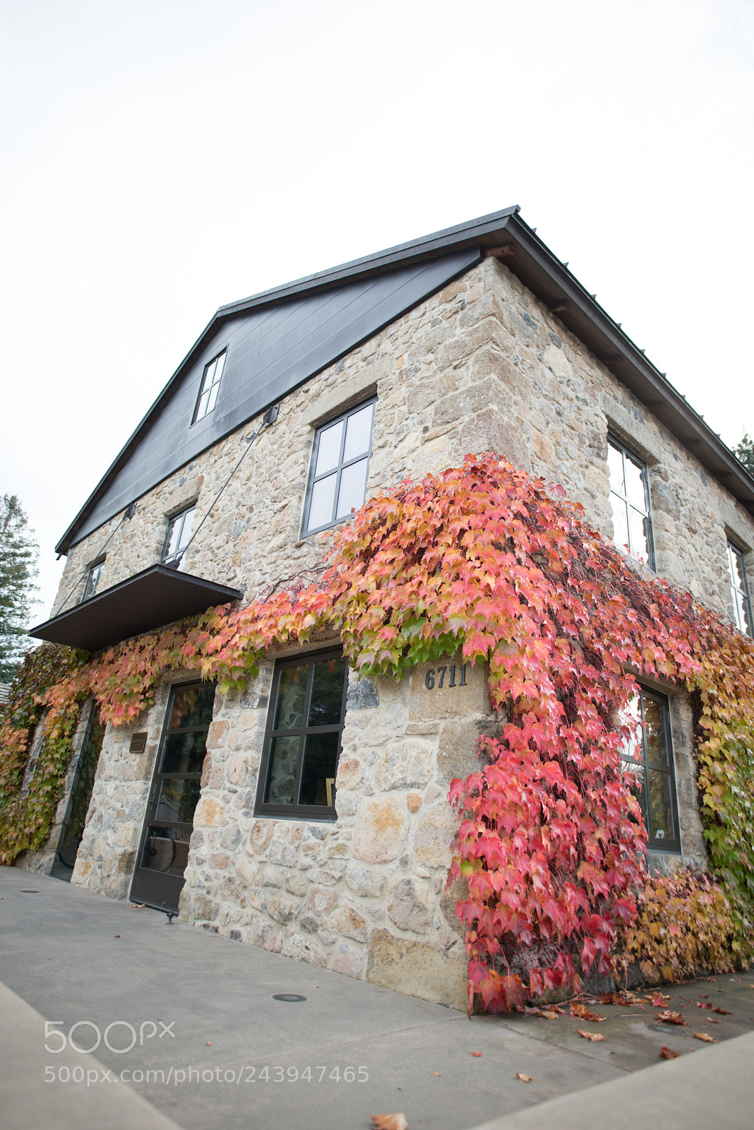Nikon D610 sample photo. Intoxicating napa building photography