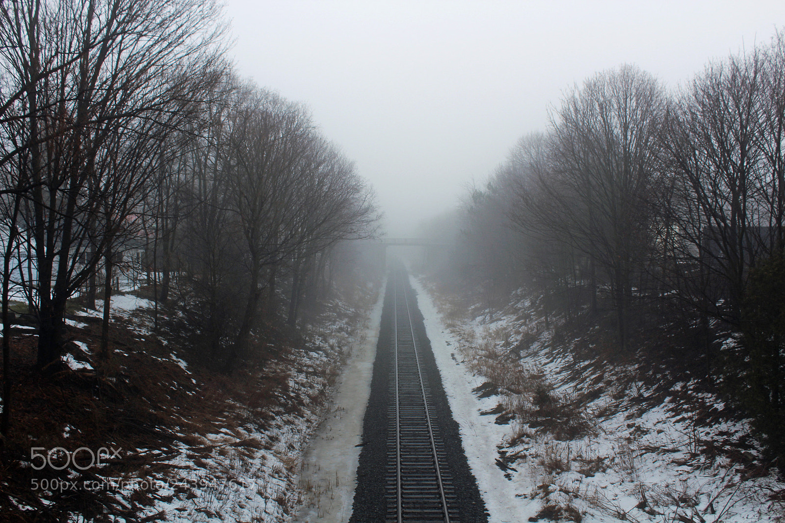 Canon EOS 1200D (EOS Rebel T5 / EOS Kiss X70 / EOS Hi) sample photo. Foggy morning photography