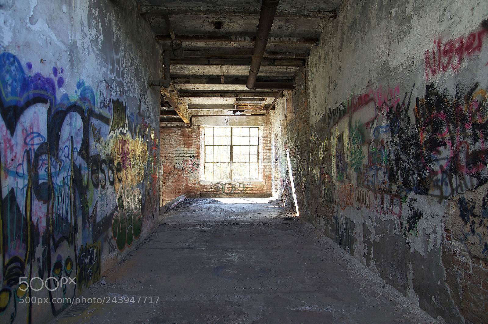 Nikon D90 sample photo. Untitled photography