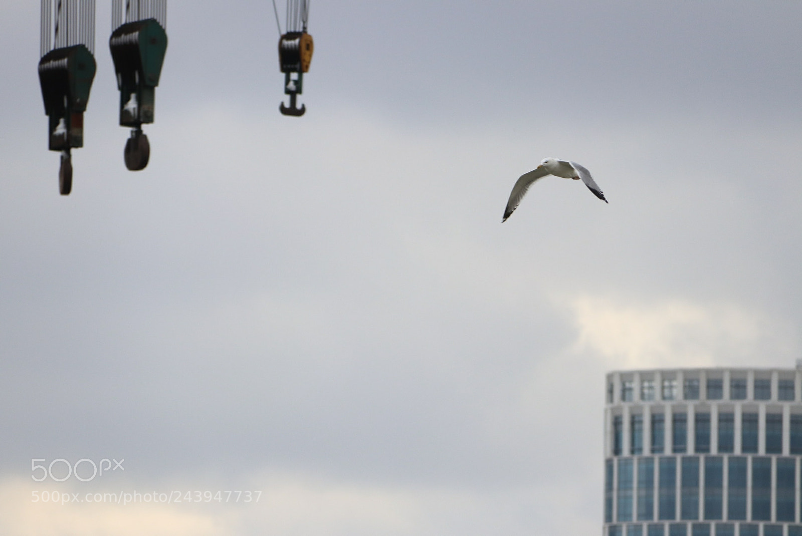 Canon EOS 77D (EOS 9000D / EOS 770D) sample photo. Untitled photography