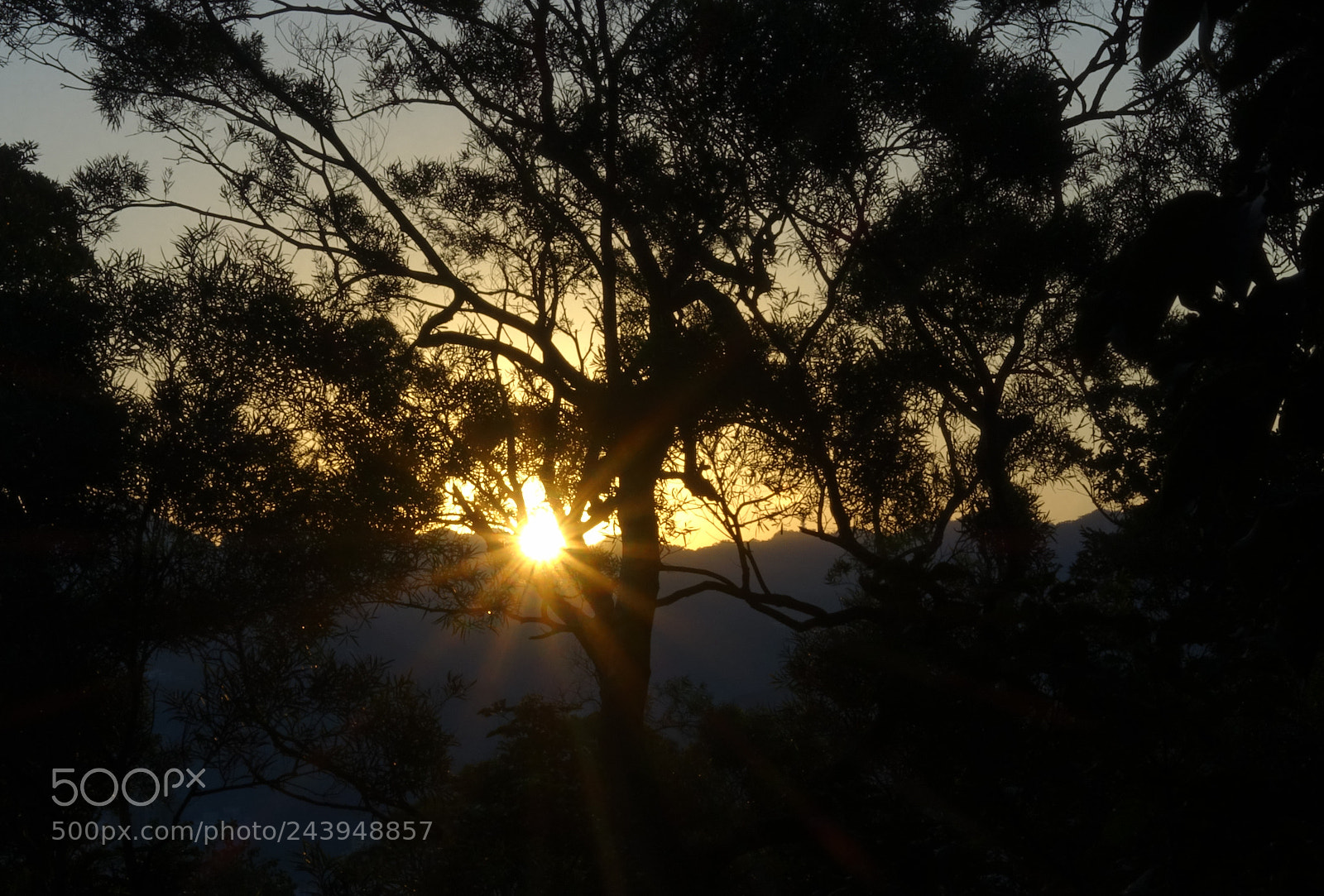 Sony Cyber-shot DSC-RX100 III sample photo. Penetrating sunrays photography