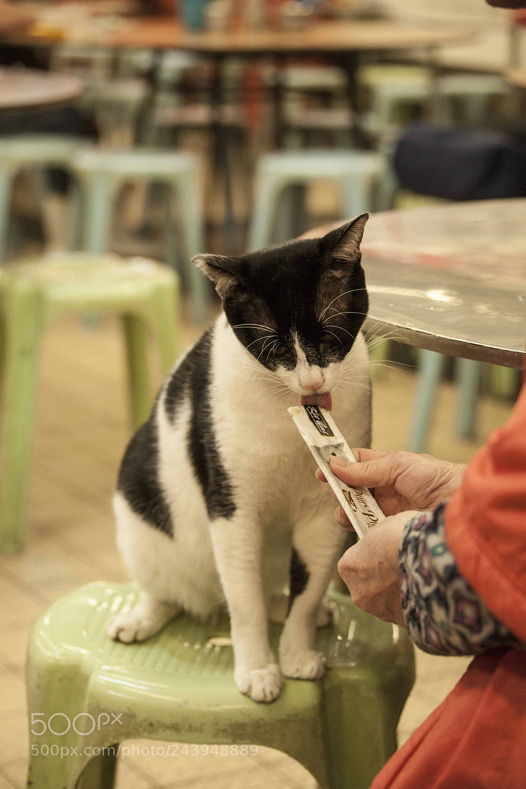Canon EOS 5D sample photo. Img photography
