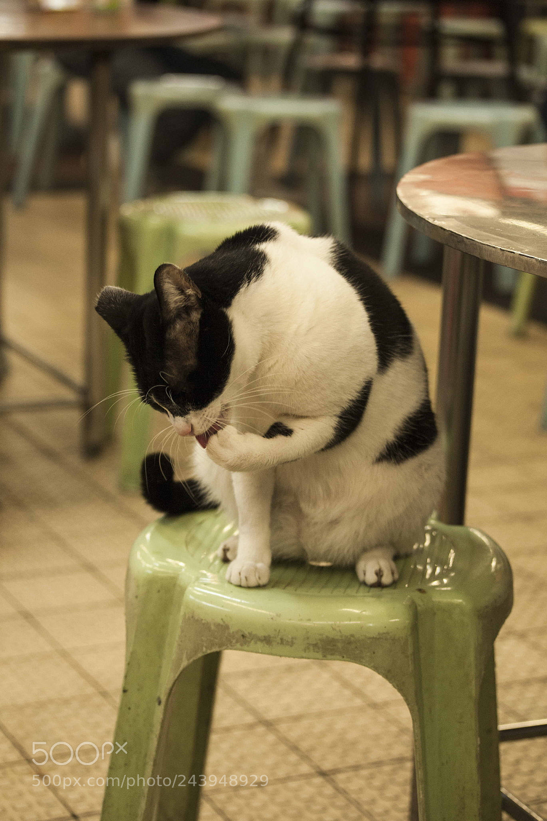 Canon EOS 5D sample photo. Img photography