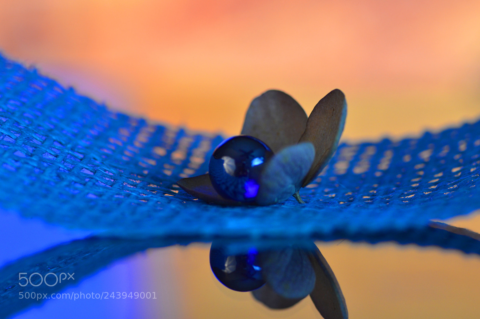 Nikon D3200 sample photo. Dream photography