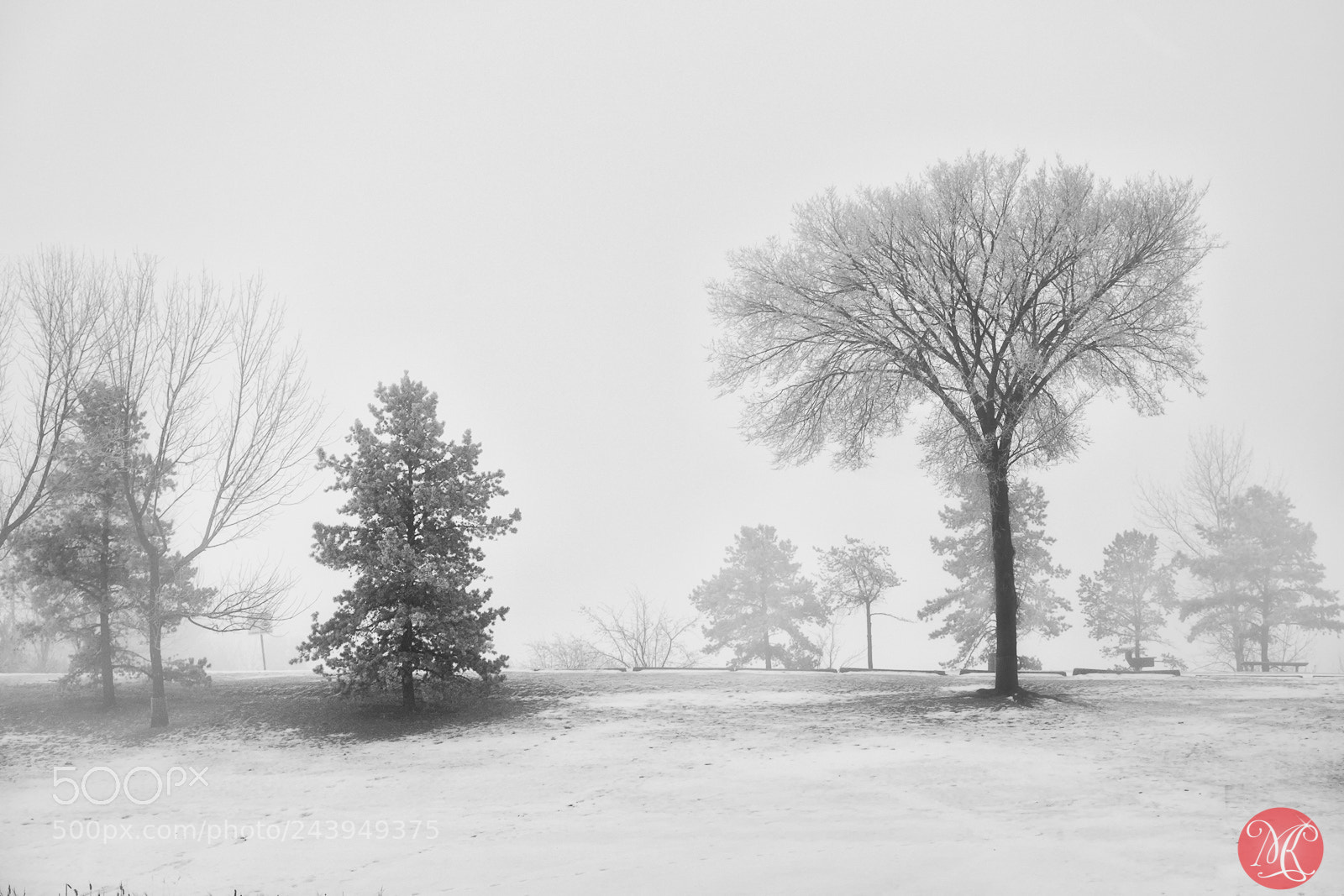 Fujifilm X-T1 sample photo. Moody morning photography