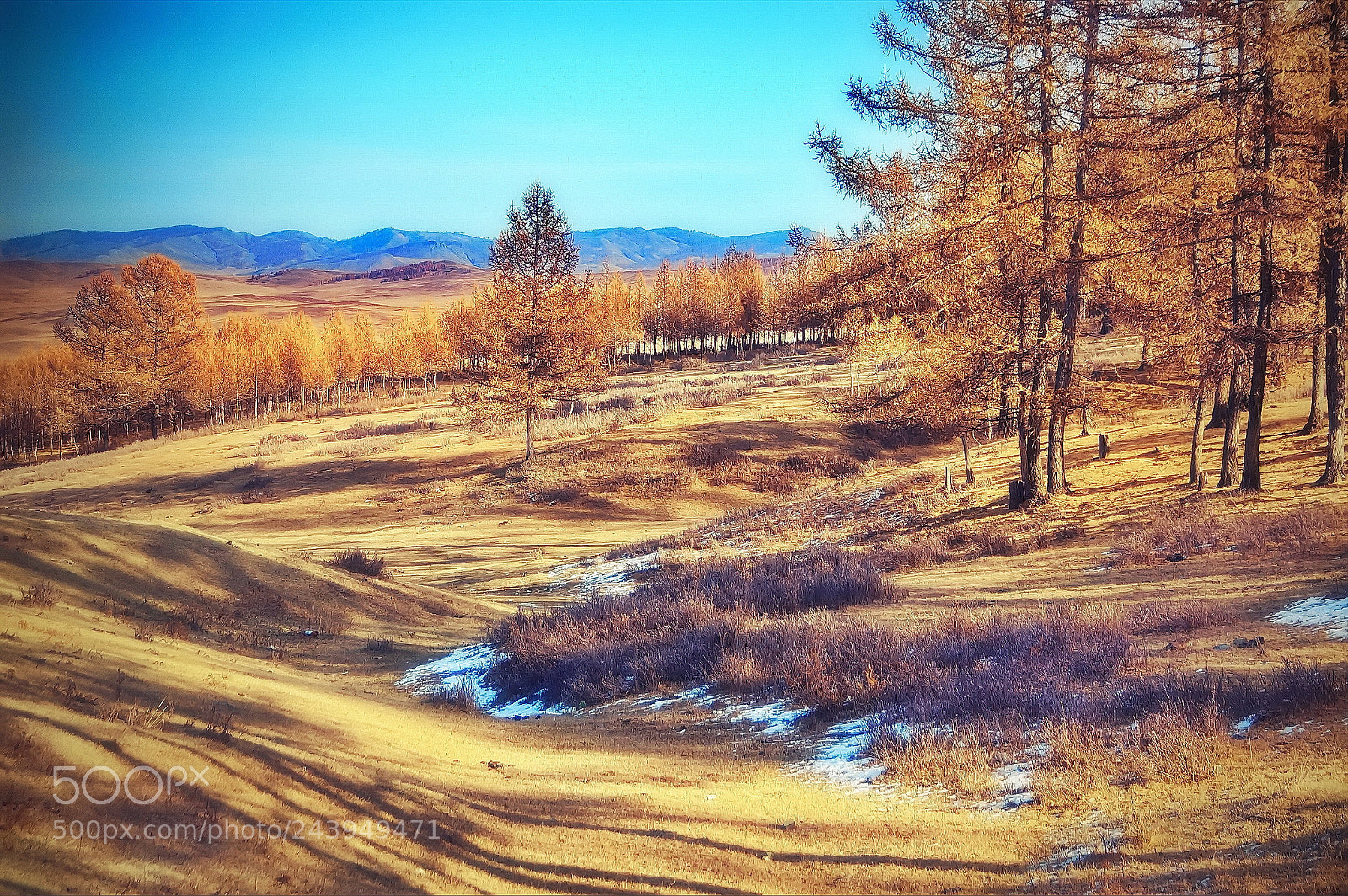Nikon D40 sample photo. Forest shadows photography