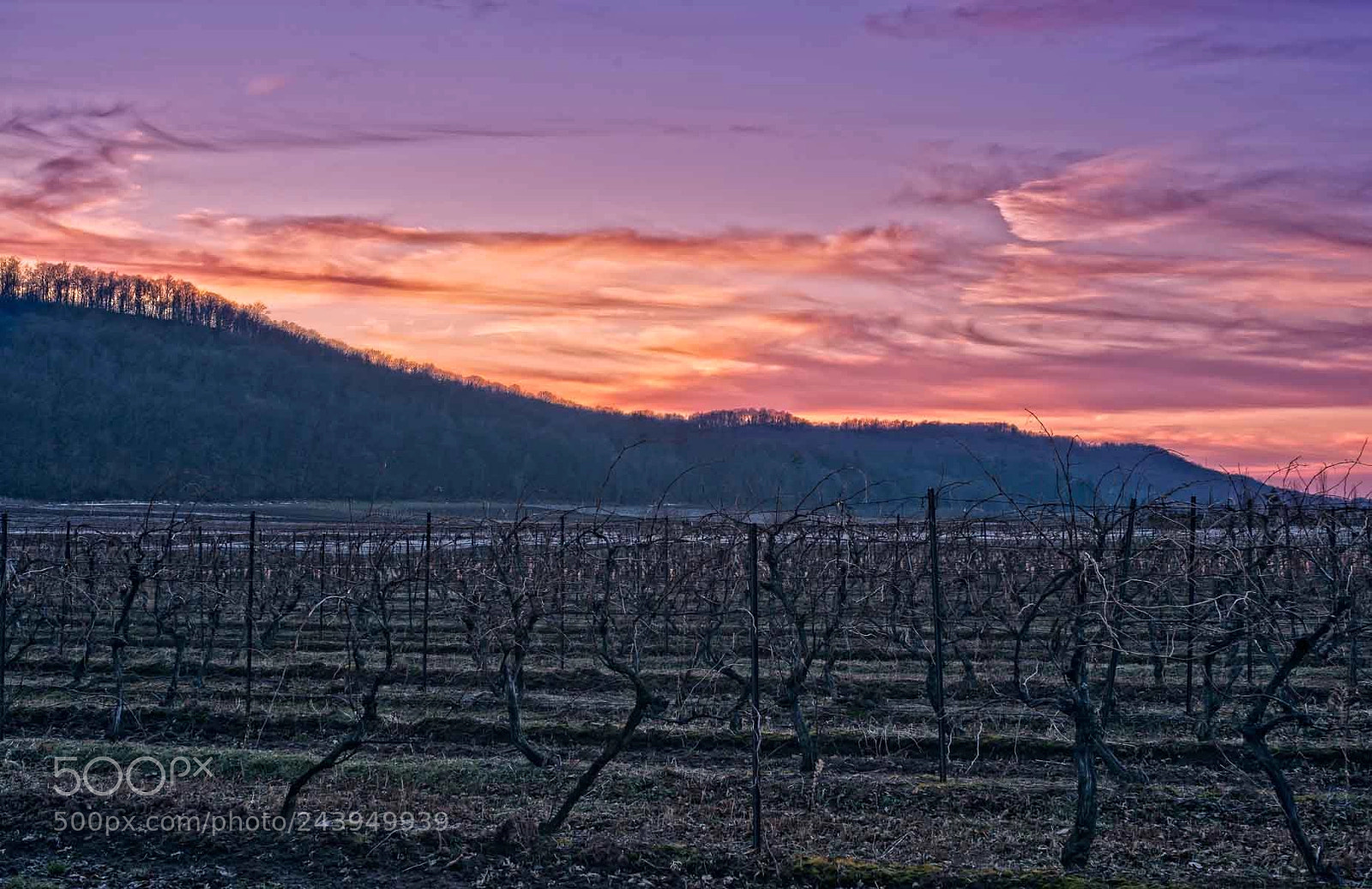 Sony a7 II sample photo. After sunset over the photography