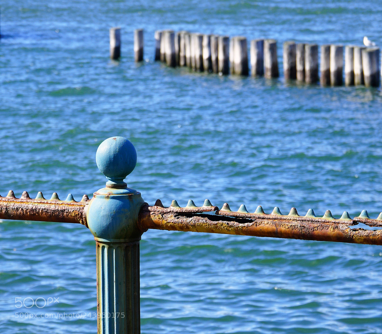 Sony a6500 sample photo. Railing at castle island photography