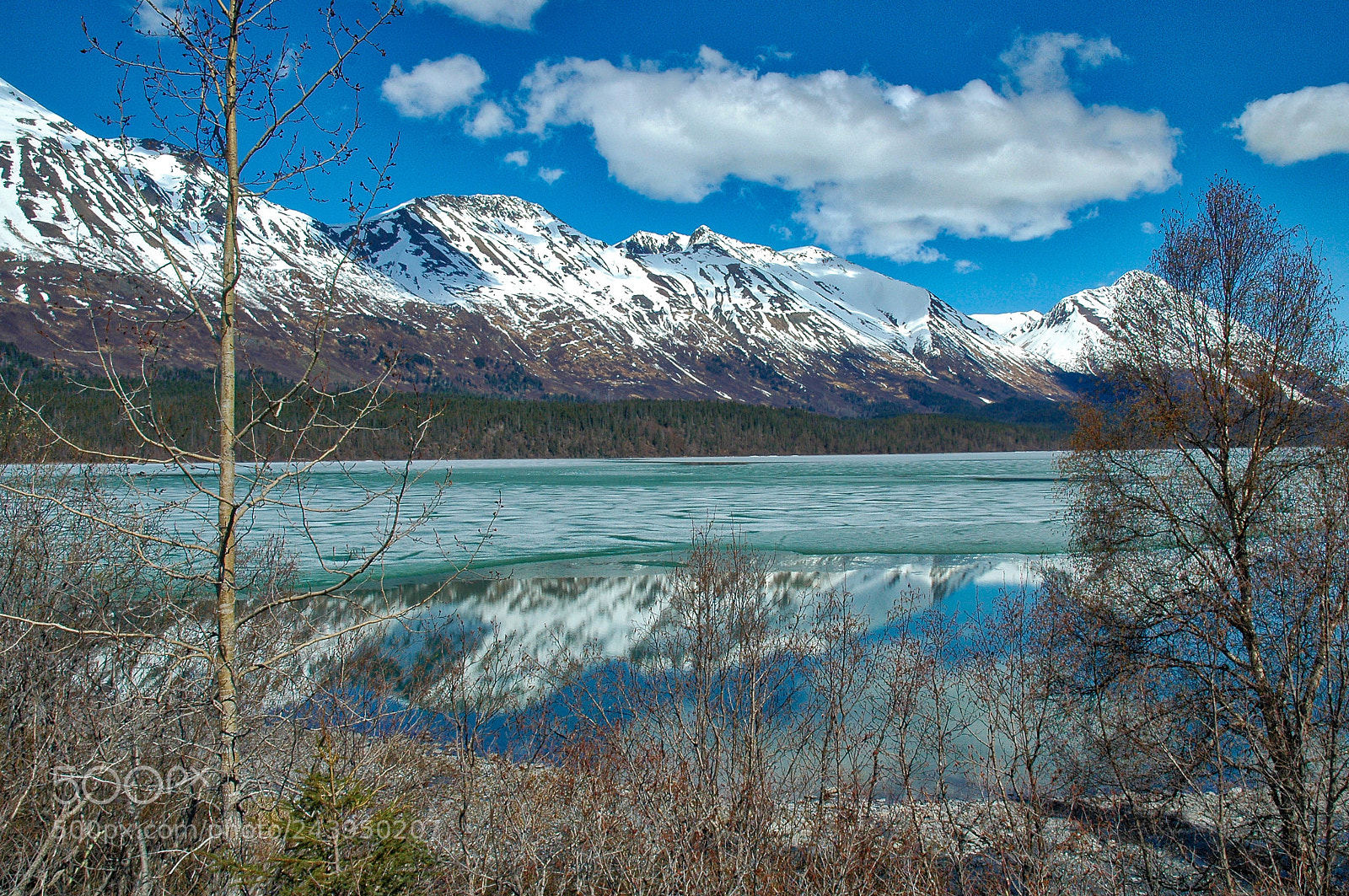 Nikon D70 sample photo. Kenai photography