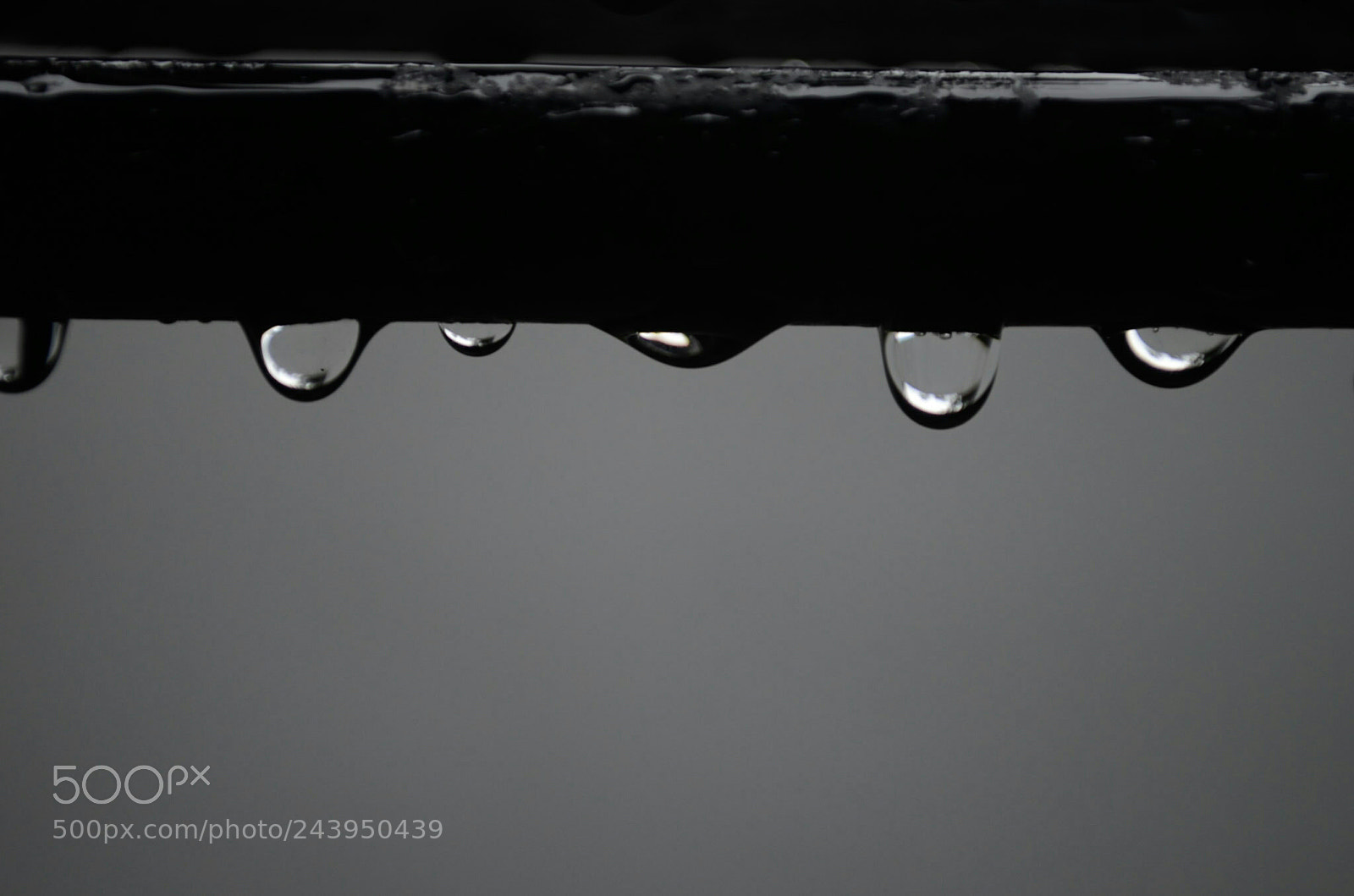 Nikon D5100 sample photo. Untitled photography