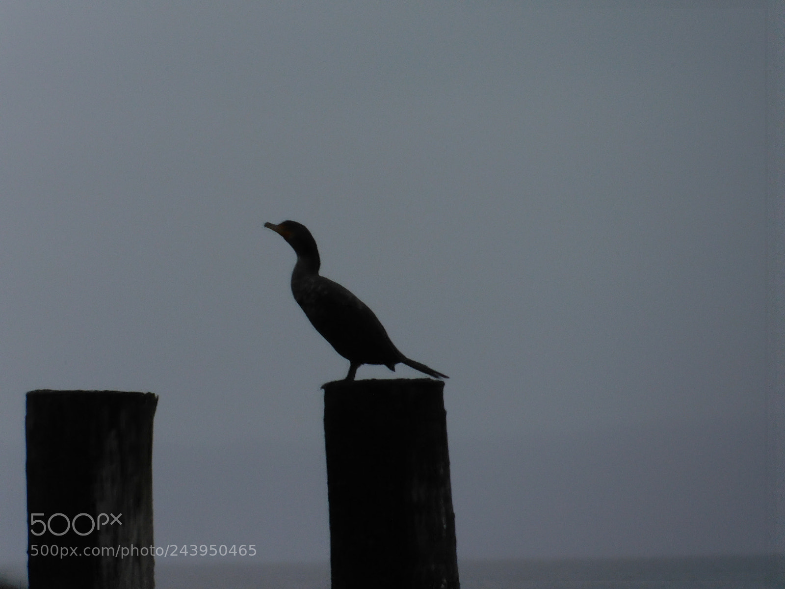 Nikon Coolpix B500 sample photo. Hanging on a pier photography
