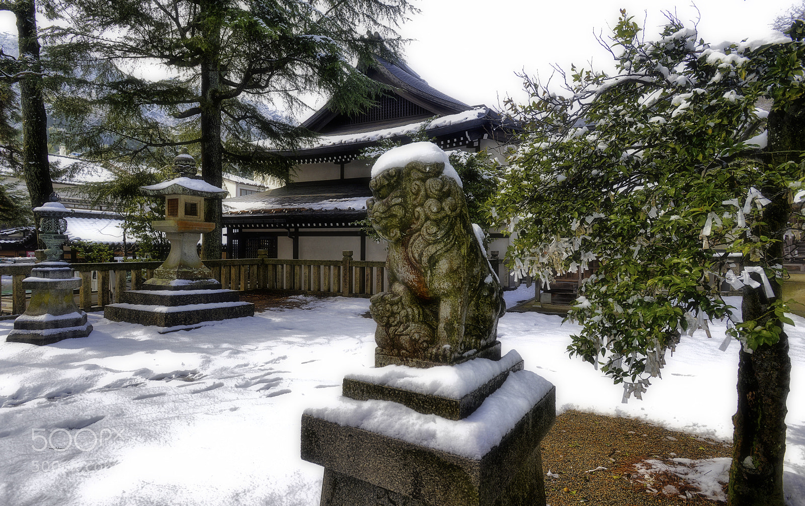 Nikon D800 sample photo. 城崎町 photography