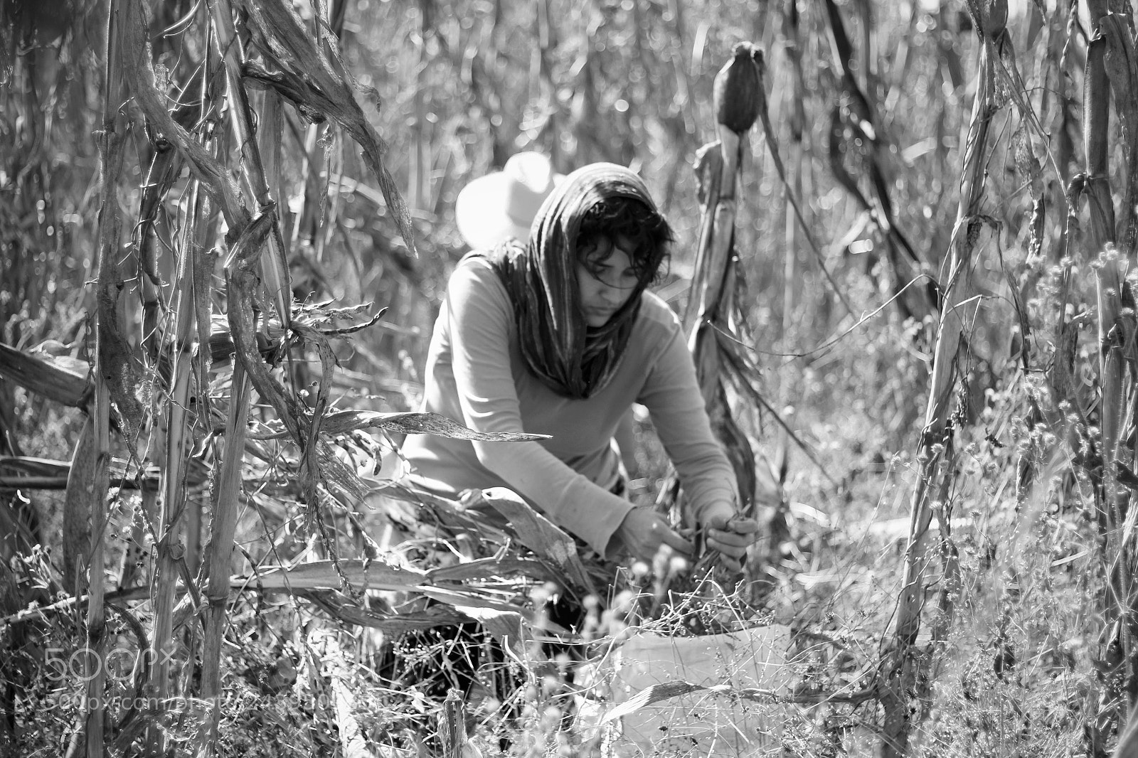 Canon EOS 550D (EOS Rebel T2i / EOS Kiss X4) sample photo. La mujer en el photography