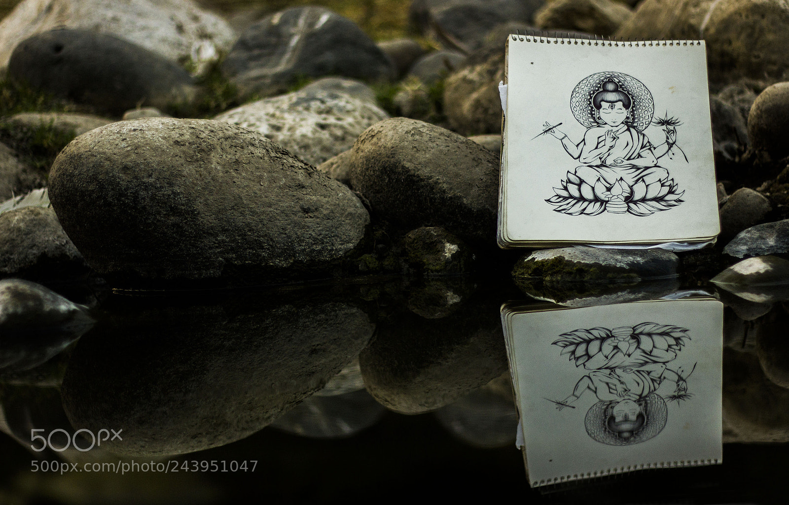 Canon EOS 550D (EOS Rebel T2i / EOS Kiss X4) sample photo. Buda photography