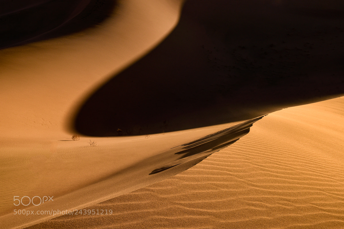 Nikon D810 sample photo. Ibex dunes photography