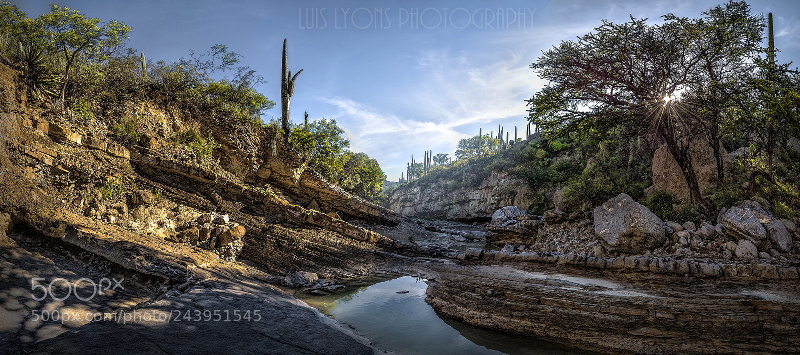 Nikon D5500 sample photo. Afternoon sunlight desert creek photography