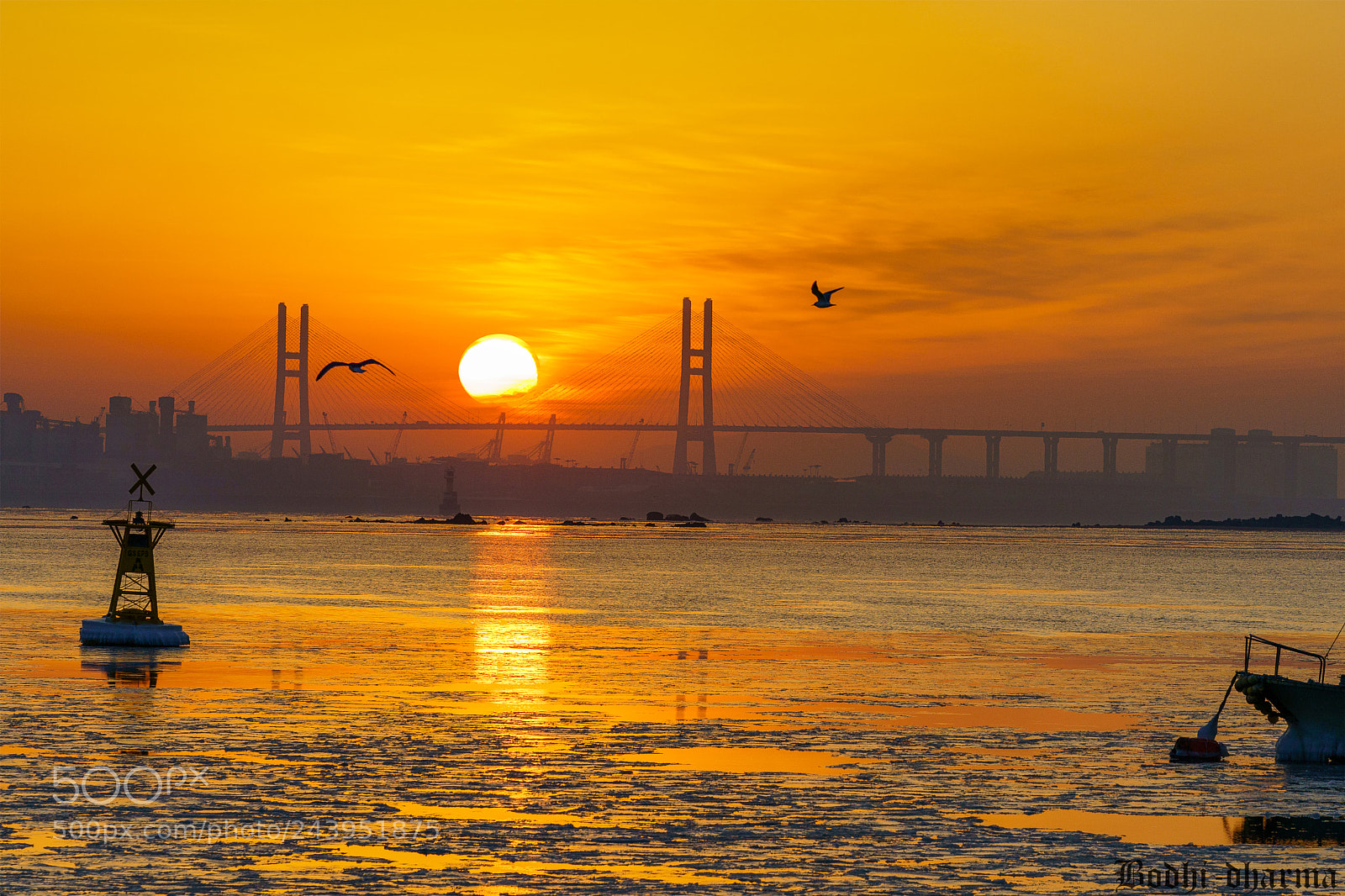 Sony a9 sample photo. Hanjin port photography