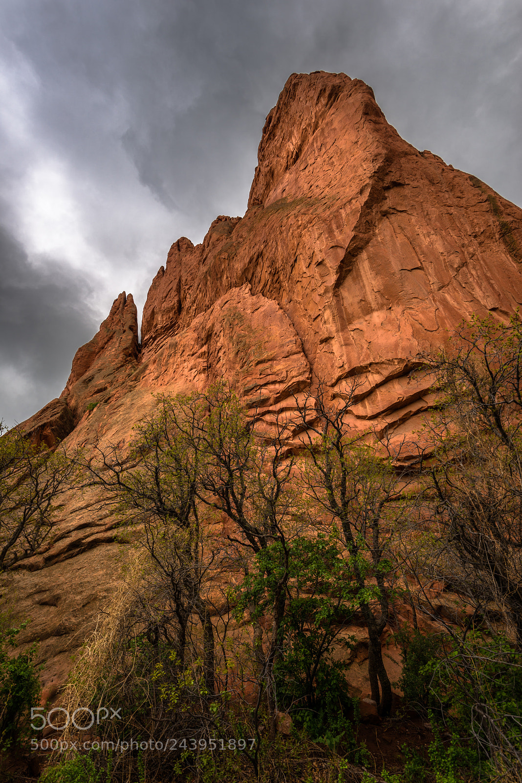 Nikon D800 sample photo. Rock face with trees photography
