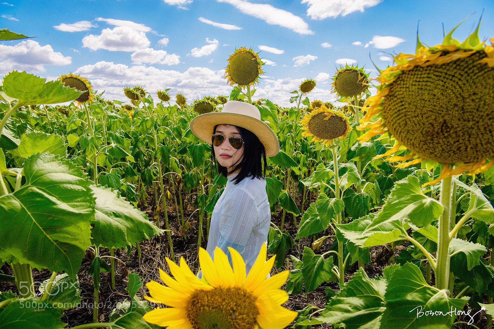 Nikon D610 sample photo. Untitled photography