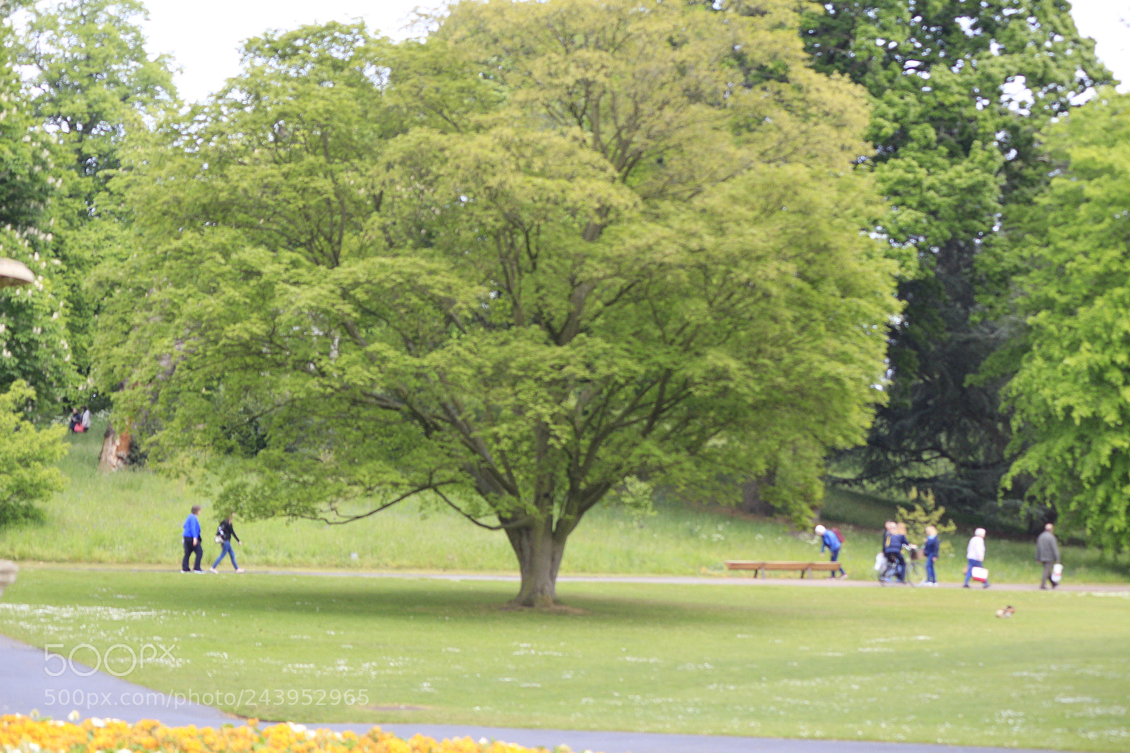 Canon EOS 650D (EOS Rebel T4i / EOS Kiss X6i) sample photo. Mg photography