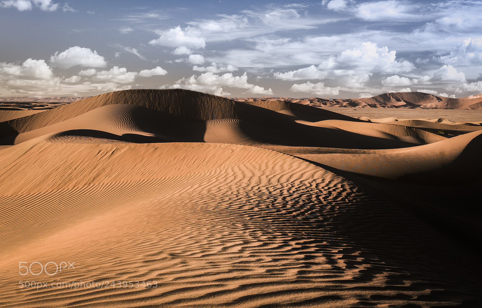 Sony a7R II sample photo. Desert photography