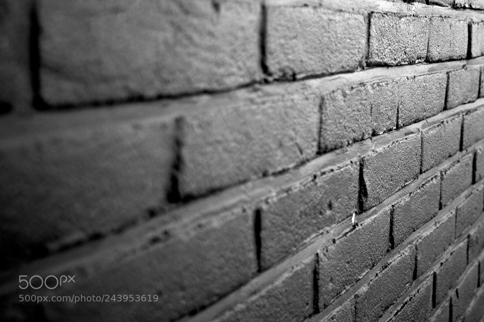 Nikon D3200 sample photo. Brick photography