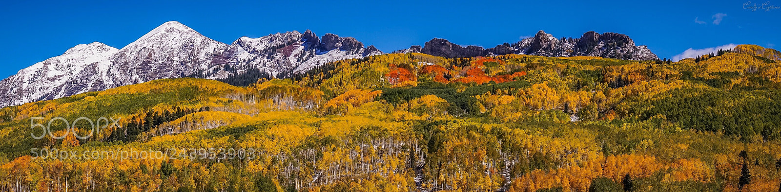 Sony a6300 sample photo. Kebler pass fall foliage photography