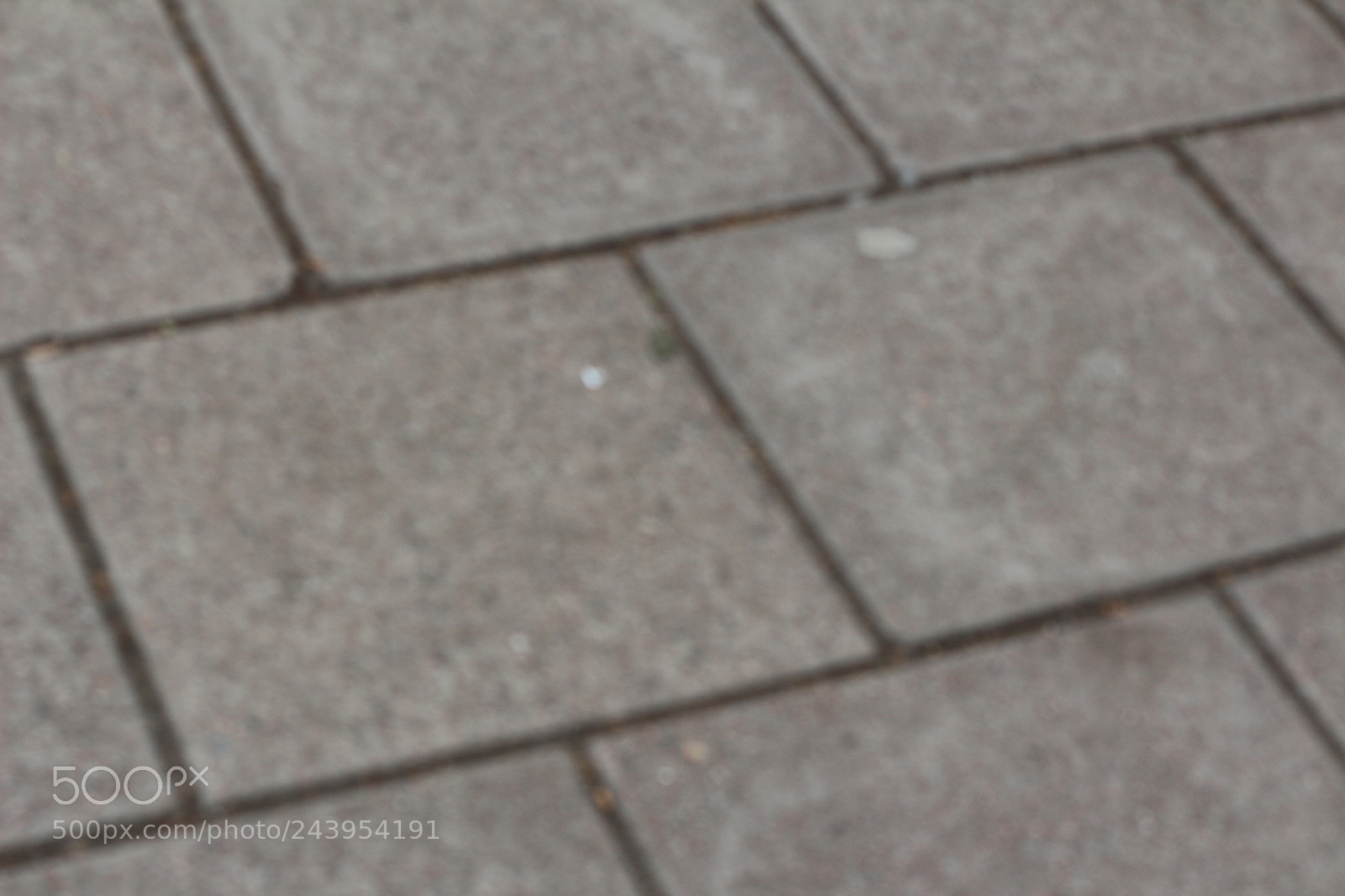 Canon EOS 650D (EOS Rebel T4i / EOS Kiss X6i) sample photo. Img photography