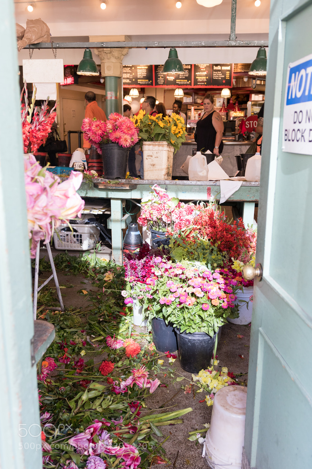 Canon EOS 7D Mark II sample photo. Kka photography